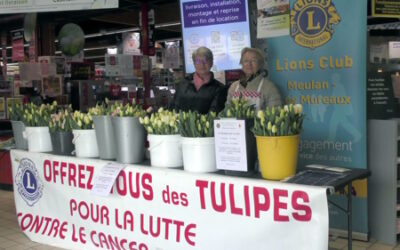 L’opération « des tulipes contre le cancer » commence à Hardricourt