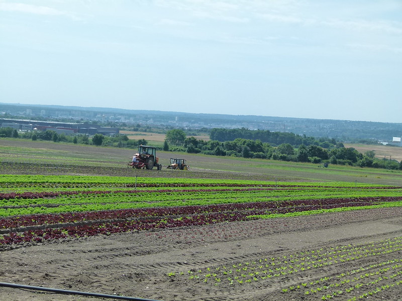 Agriculture : la France suspend l’importation des produits traités à l’insecticide Thiaclopride